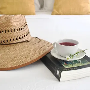 Casa Del Artista - 2*, Playa del Carmen México